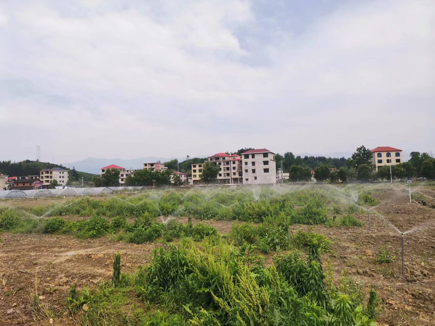湖南農(nóng)業(yè)水肥一體化灌溉,湖南別墅庭院智能灌溉,長沙沁園灌溉有限公司,湖南足球場噴灌,長沙足球場噴灌,足球場噴灌,足球場灌溉,長沙足球場灌溉,湖南足球場灌溉